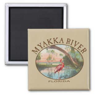 Aimant Myakka River Floride avec spatule rose