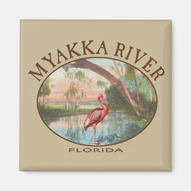 Aimant Myakka River Floride avec spatule rose (Devant)