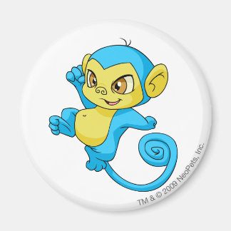 Aimant Mynci Blue