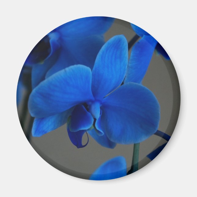 Aimant Mystique bleue (Devant)