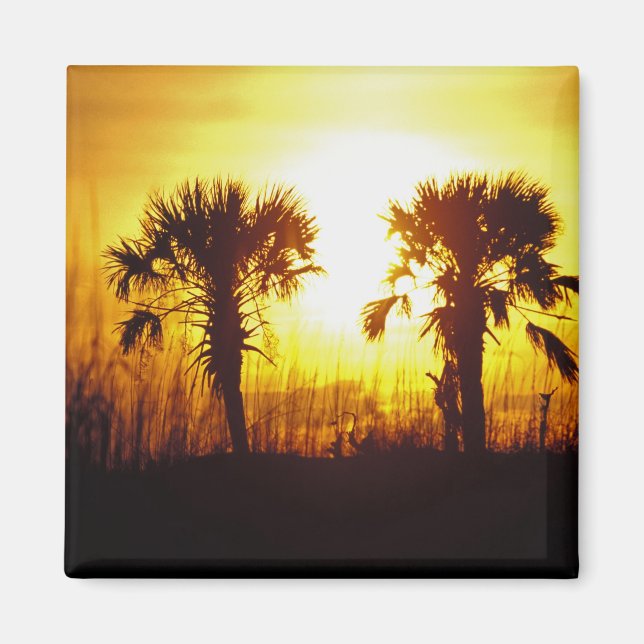 Aimant N.A., États-Unis, Caroline du Sud, Charleston. Cou (Devant)