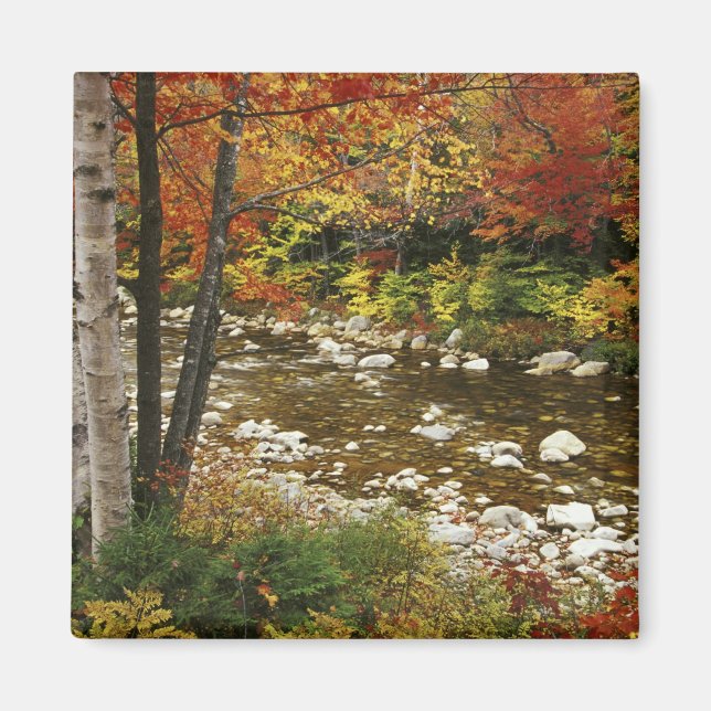 Aimant N.A., États-Unis, New Hampshire, White Mountains, (Devant)