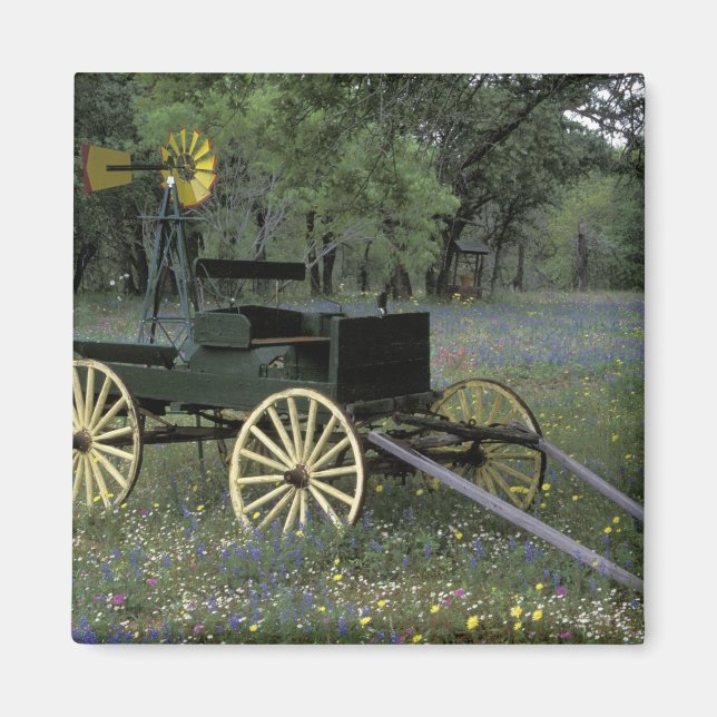 Aimant N.A., États-Unis, Texas, Devine, Vieux chariot et (Devant)