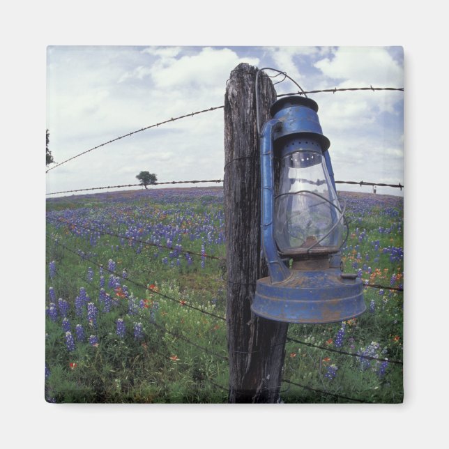 Aimant N.A., États-Unis, Texas, Llano, Lanterne bleue, Ch (Devant)