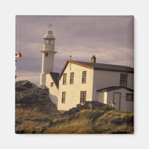 Aimant NA, Canada, Terre-Neuve, Lobster Cove. Homard