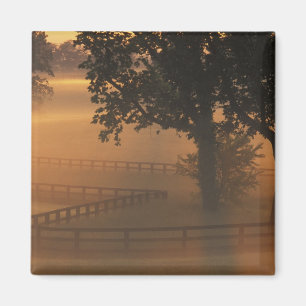 Aimant NA, États-Unis, Kentucky. Lever de soleil brumeux