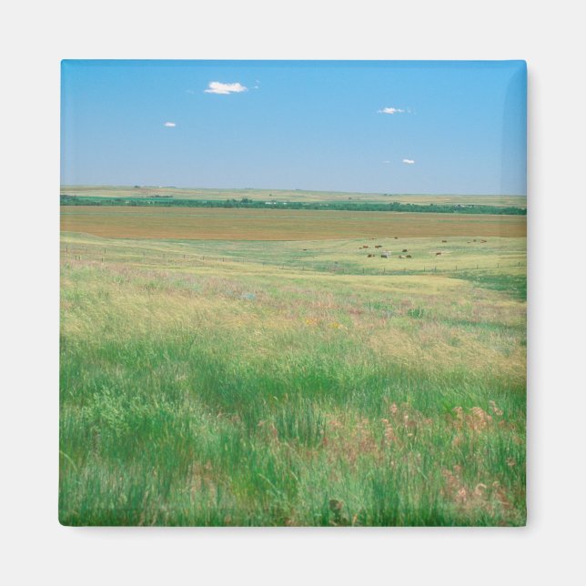 Aimant NA, États-Unis, NE. Prairies près d'Ogallala avec (Devant)