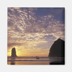 Aimant NA, États-Unis, Oregon, côte de l'Oregon, Canon Be