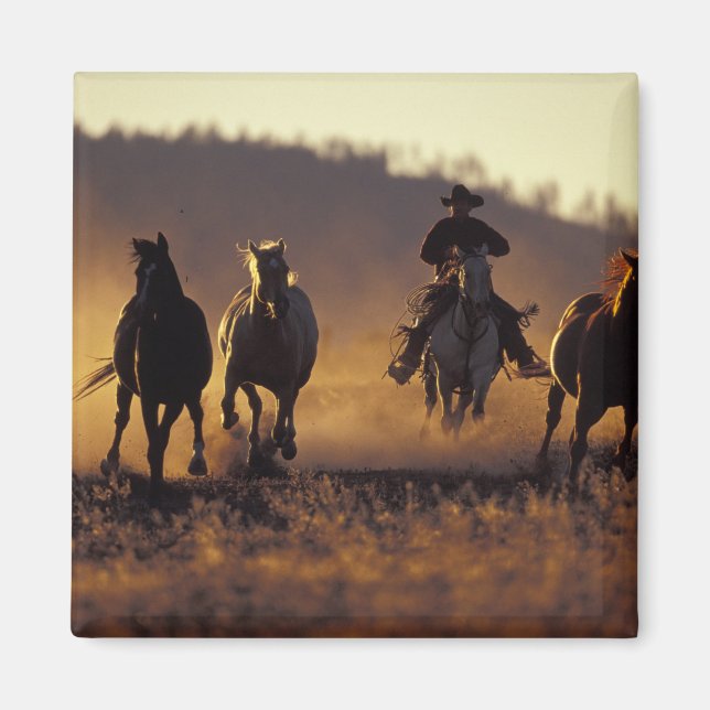 Aimant NA, États-Unis, Oregon, Seneca, Ponderosa Ranch, C (Devant)