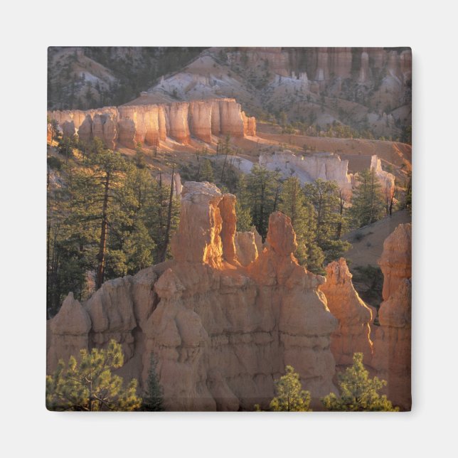 Aimant NA, États-Unis, Utah, Parc national de Bryce Canyo (Devant)