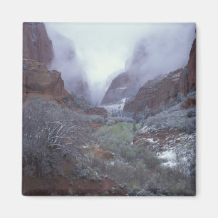 Aimant NA, États-Unis, Utah, Zion NP, tempête de neige pr