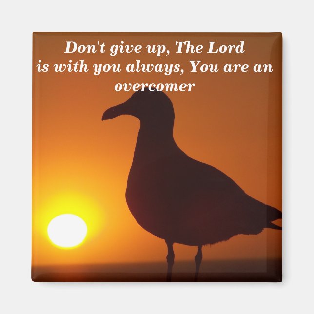 Aimant N'abandonne pas !_ (Devant)