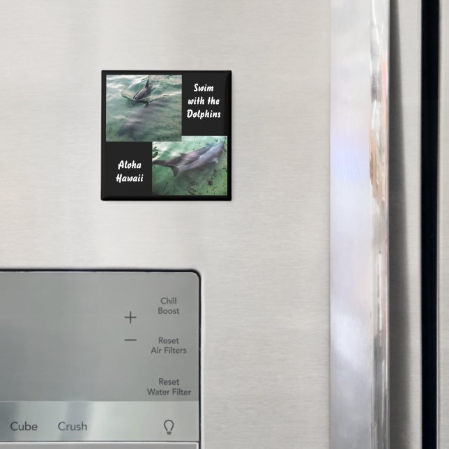 Aimant Nager avec les dauphins Hawaii (In situ (réfrigérateur))