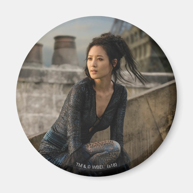 Aimant Nagini sur le toit photo (Devant)