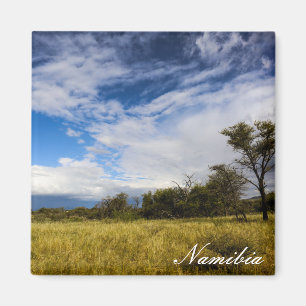 Aimant Namibie Afrique Paysage Nature namibienne Bushveld