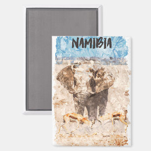 Aimant Namibie Afrique Safari pour la faune