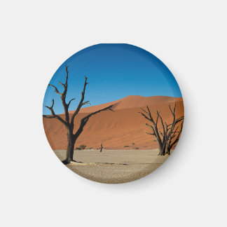 Aimant Namibie - Arbres pétrifiés à l'aimant Dead Vlei