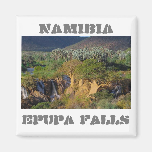 Aimant Namibie Kunene River Epupa Falls Paysage Baobabs (Devant)