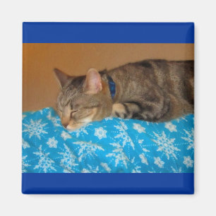 Aimant Nap Heure Pour Indigo