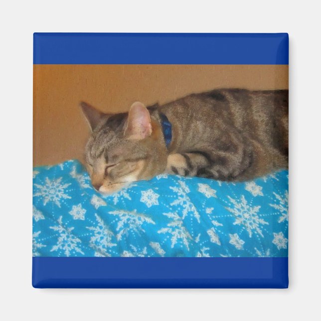 Aimant Nap Heure Pour Indigo (Devant)