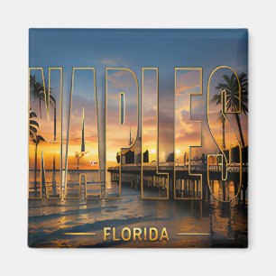 Aimant Naples Floride Côte du Golfe Voyage Souvenirs de V