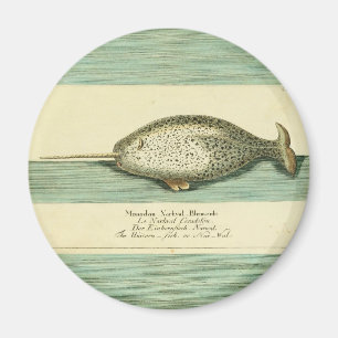 Aimant Narwhal Antique Baleine Aquarelle Art scientifique