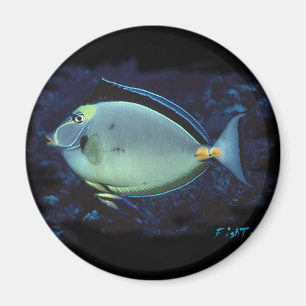 Aimant Naso Tang