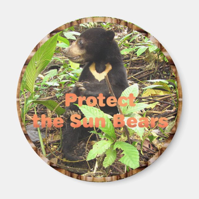 AIMANT NATALIE (Devant)