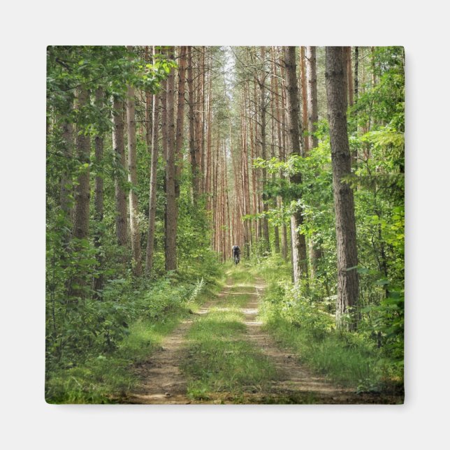 Aimant Nature Paysage Paysage Forêt Arbres Biélorussie (Devant)