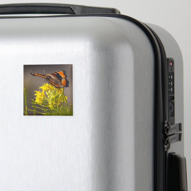 Aimant Natures Beauté Milbert's Tortoiseshell Butterfly (In Situ (Bagages))