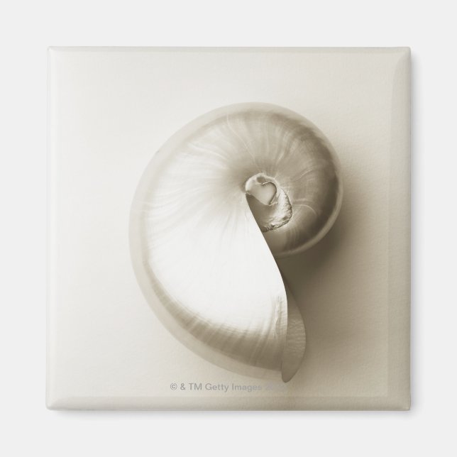 Aimant Nausolée perlée 2 (Devant)