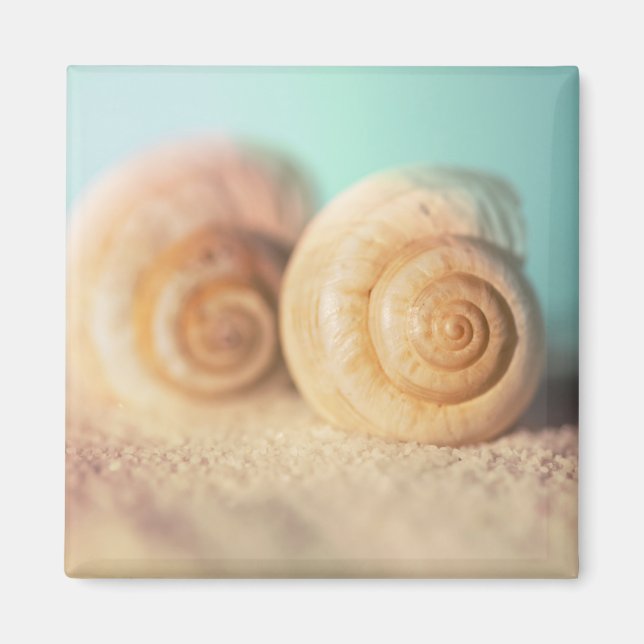 Aimant Nautilus Shells (Devant)