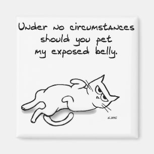 Aimant Ne jamais familiariser le ventre de chat - Drôle A