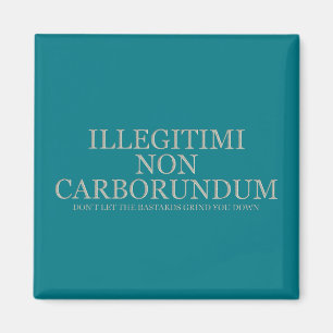 Aimant Ne laissez pas les bâtards vous dénigrer - Lumière