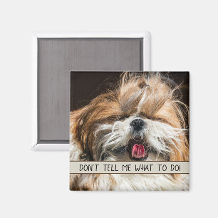 Aimant Ne me dites pas quoi faire langue shih tzu drôle