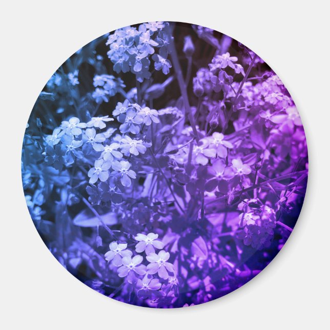 Aimant ne m'oublie pas (Devant)