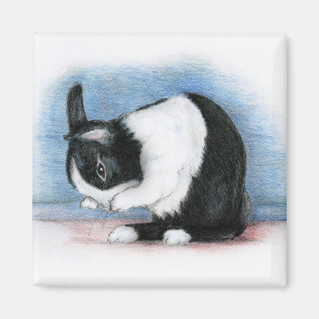 Aimant Néerlandais (Devant)