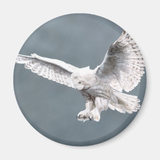 Aimant Neige