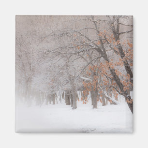 Aimant Neige d'hiver Lac Kussharo