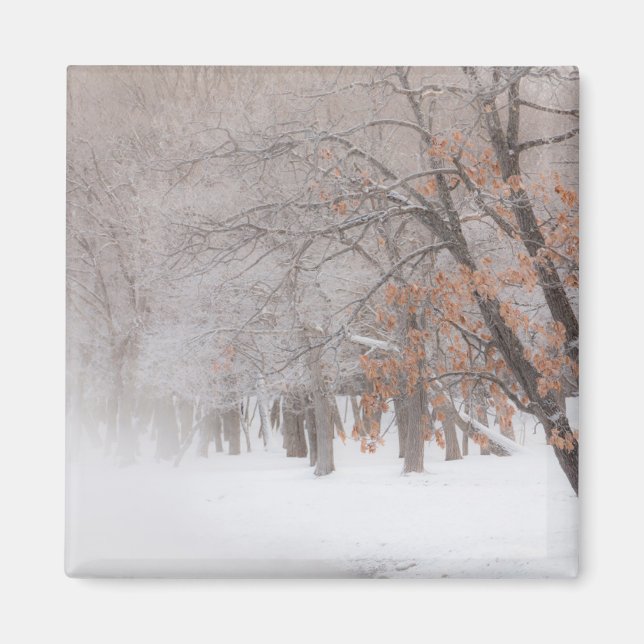 Aimant Neige d'hiver | Lac Kussharo (Devant)