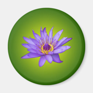 Aimant Nénuphar Fleur Étang Aquatique Fleur d'Eau Violett