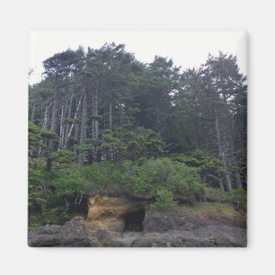 Aimant Neptune State Park, OU