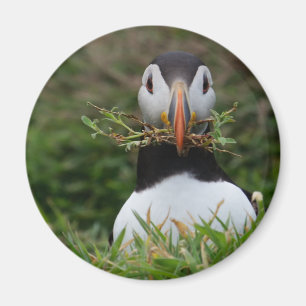 Aimant Nest Builder Puffin