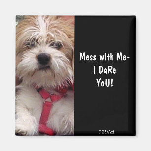 Aimant N'est pas Nothin mais un chien de chasse