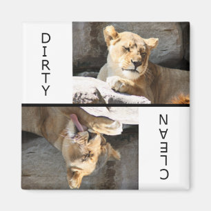 Aimant Nettoyez la lionne sale