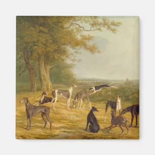 Aimant Neuf Greyhounds dans un paysage (huile sur toile)