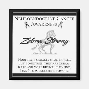 Aimant Neuroendocrine Cancer Sensibilisation Zebra Fort