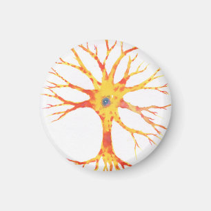 Aimant Neuron