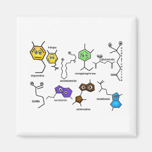 Aimant Neurotransmetteurs cahoteux