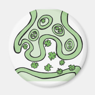 Aimant Neurotransmetteurs Clover